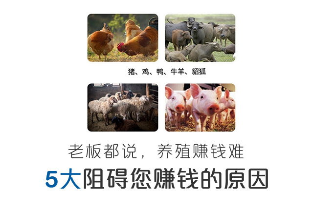 新康生物