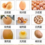 鸡蛋品质不稳定