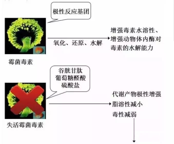 青岛新康