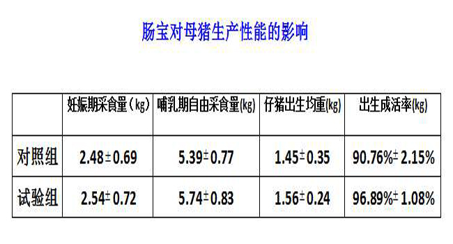 发酵饲料