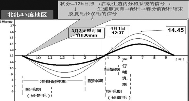 新康科技