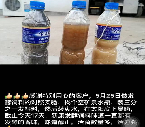 小矿泉水瓶里藏着发酵饲料的大秘密