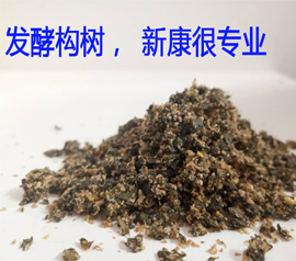 发酵构树