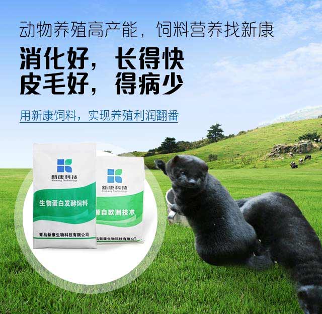 用新康饲料,实现养殖利润翻番